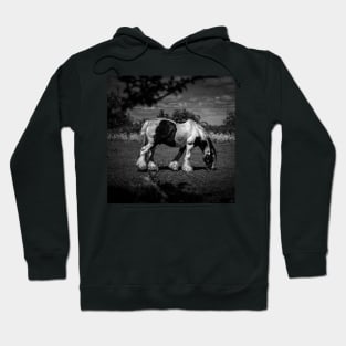 Grazing Black And White Horse Hoodie